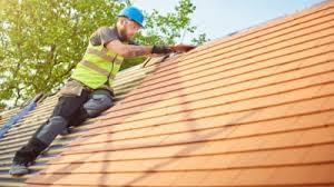 Best Gutter Installation and Repair  in Wartburg, TN